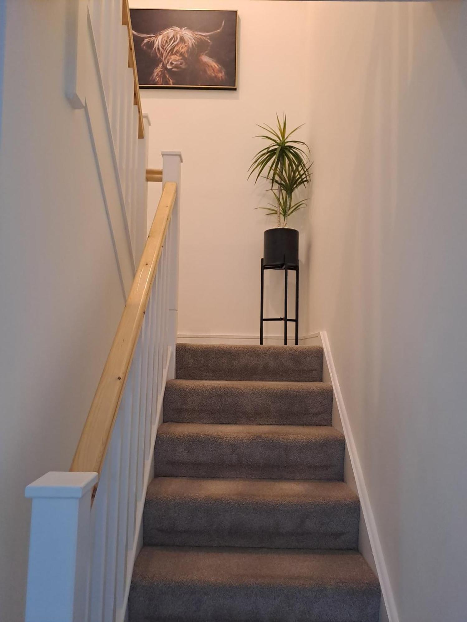 Cozy Bedroom In Lucan, Dublin Bagian luar foto